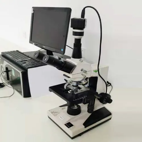 Elektronmikroskop